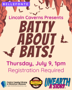 slp 2026 Batty about bats Bel (1)