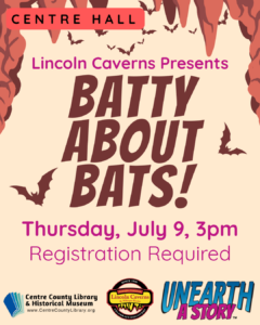 slp 2026 Batty about bats ch (1)