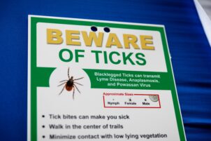 How Tick Activity Has Shifted in Pa. This Year, and What to Know About Infection Risks