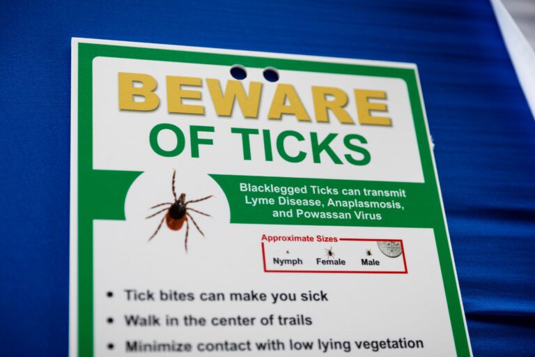 How Tick Activity Has Shifted in Pa. This Year, and What to Know About Infection Risks
