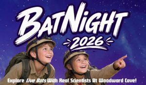 Bat Night event cover photo