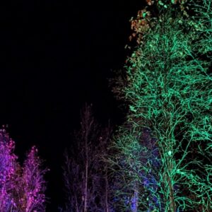 Silent-Disco