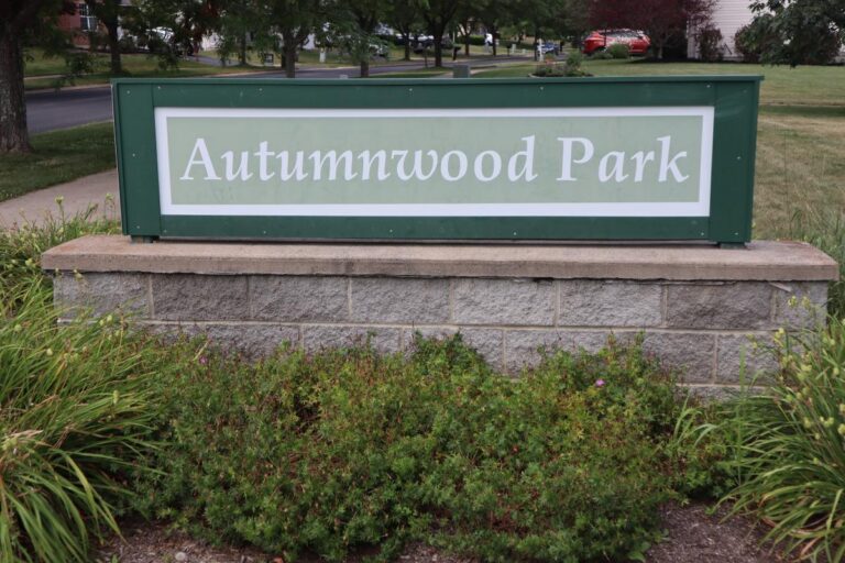 Ferguson Township to Unveil New Kid-Designed Playground; Volunteers Needed for Community Build