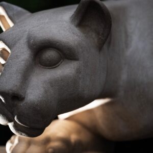 Nittany Lion