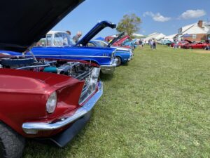 627675218_1335054811982091_748766707939513133_n