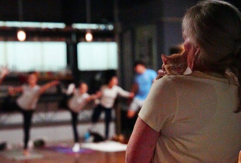Kitty Yoga at Axemann Brewery Brings Community Together for Centre County PAWS