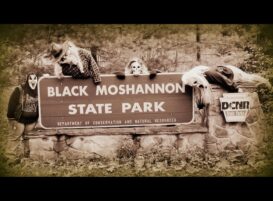 Haunted Loop Hike at Black Moshannon on Oct. 3