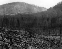 The Day the Sky Turned Black in Centre County
