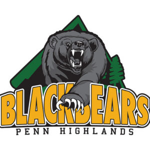 block-logo-bearMountainFull