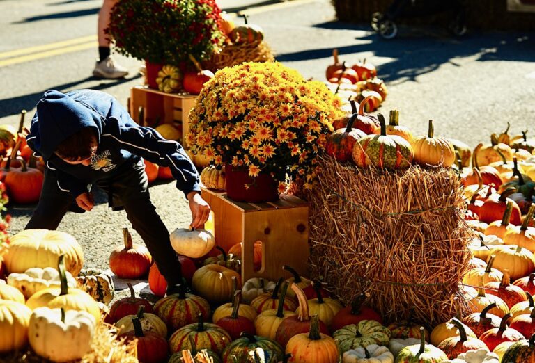 Downtown State College Celebrates 25th Annual Fall Fest