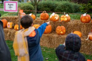 Arboretum’s Pumpkin Fest Showcases Creativity in Jack-o’-Lantern Contest